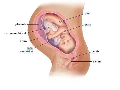 39. Haftada Hamilelik: Beklentiler, Belirtiler ve Doğum Aşamaları